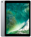 iPad Pro 12.9-in. (2nd generation)